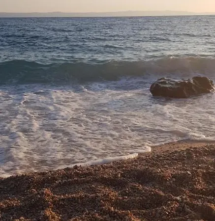 Nikolic 2 アパート