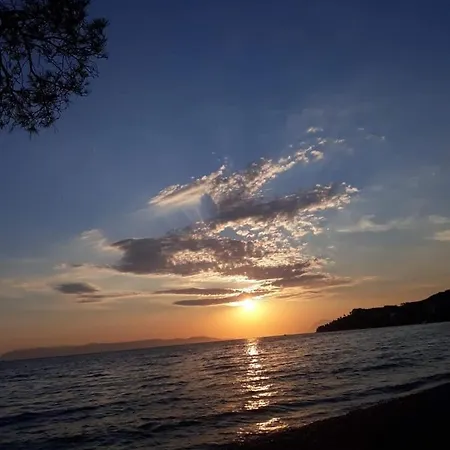 Nikolic 2 * マカルスカ